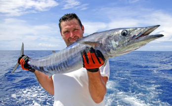 Luxury on the Water: Exclusive Myrtle Beach Charter Fishing