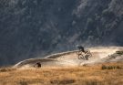 dumbing down trails