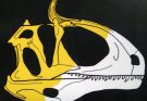 feathered dinosaur discovery
