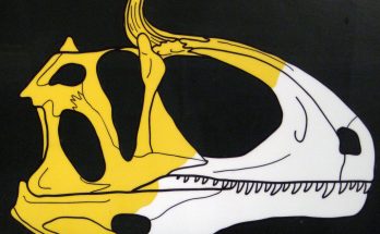 feathered dinosaur discovery