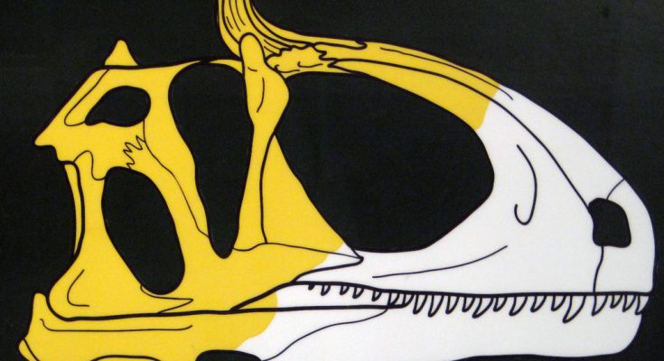 feathered dinosaur discovery